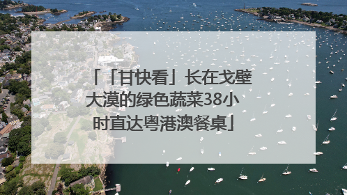 「甘快看」长在戈壁大漠的绿色蔬菜38小时直达粤港澳餐桌