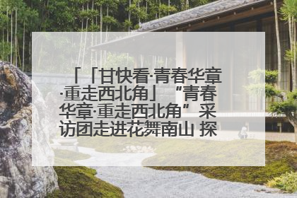 「甘快看·青春华章·重走西北角」“青春华章·重走西北角”采访团走进花舞南山 探寻天水乡村振兴之路