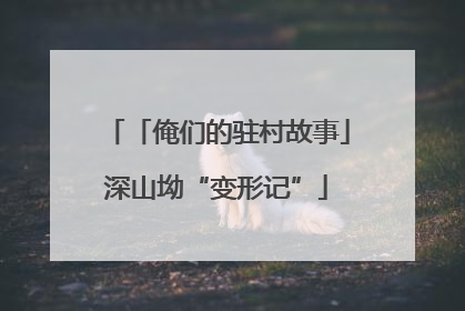 「俺们的驻村故事」深山坳“变形记”
