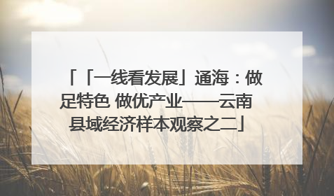 「一线看发展」通海：做足特色 做优产业——云南县域经济样本观察之二