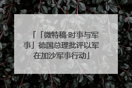 「微特稿·时事与军事」德国总理批评以军在加沙军事行动