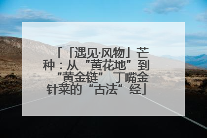 「遇见·风物」芒种：从“黄花地”到“黄金链” 丁嘴金针菜的“古法”经
