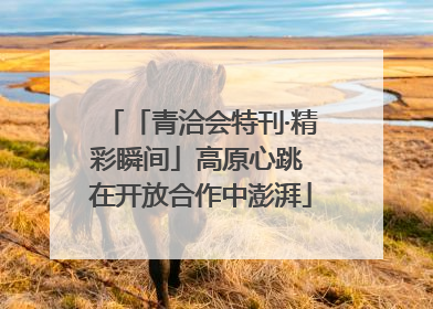 「青洽会特刊·精彩瞬间」高原心跳 在开放合作中澎湃