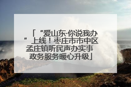 “爱山东·你说我办”上线！枣庄市市中区孟庄镇听民声办实事 政务服务暖心升级