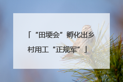 “田埂会”孵化出乡村用工“正规军”