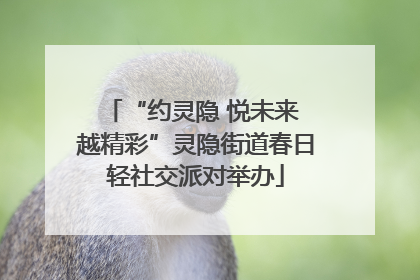 “约灵隐 悦未来 越精彩”灵隐街道春日轻社交派对举办