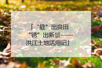 “缝”出良田 “锈”出新景——洪江土地活用记