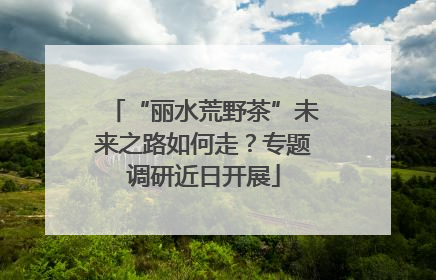“丽水荒野茶”未来之路如何走？专题调研近日开展