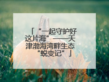 “一起守护好这片海”——天津渤海湾畔生态“蜕变记”