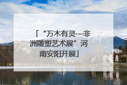 “万木有灵—非洲雕塑艺术展”河南安阳开展