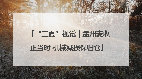“三夏”视觉｜孟州麦收正当时 机械减损保归仓