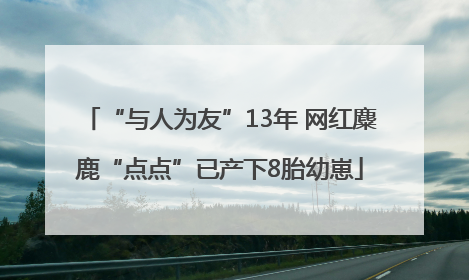 “与人为友”13年 网红麋鹿“点点”已产下8胎幼崽