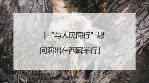 “与人民同行”慰问演出在西藏举行