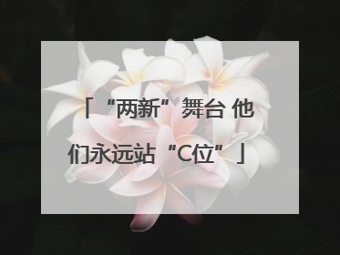 “两新”舞台 他们永远站“C位”