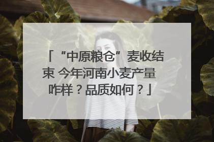 “中原粮仓”麦收结束 今年河南小麦产量咋样？品质如何？