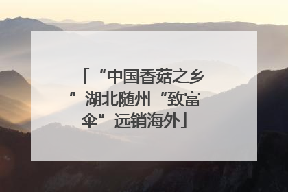 “中国香菇之乡”湖北随州“致富伞”远销海外