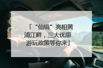 “仙境”亮相黄浦江畔，三大优惠游玩政策等你来