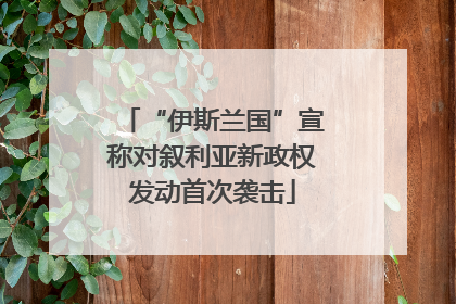 “伊斯兰国”宣称对叙利亚新政权发动首次袭击