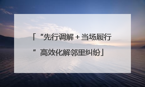“先行调解＋当场履行”高效化解邻里纠纷
