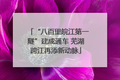 “八百里皖江第一隧”建成通车 芜湖跨江再添新动脉