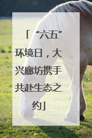 “六五”环境日，大兴廊坊携手共赴生态之约