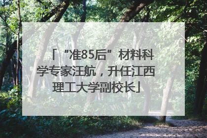 “准85后”材料科学专家汪航，升任江西理工大学副校长