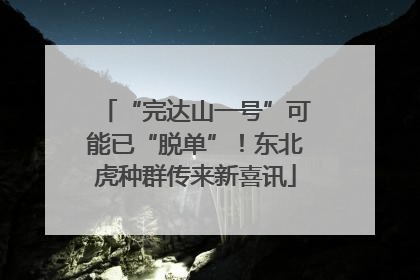 “完达山一号”可能已“脱单”！东北虎种群传来新喜讯