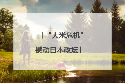 “大米危机”撼动日本政坛