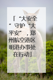 “大安全”守护“大平安”，郑州航空港区明港办事处在行动