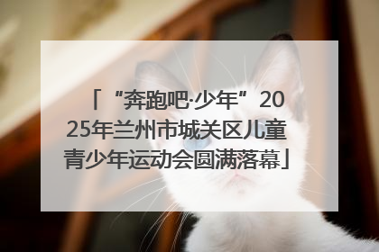 “奔跑吧·少年”2025年兰州市城关区儿童青少年运动会圆满落幕