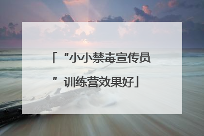 “小小禁毒宣传员”训练营效果好