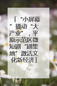 “小屏幕”撬动“大产业”，平原示范区微短剧“剧集地”激活文化新经济