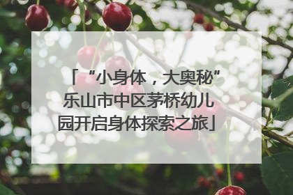 “小身体，大奥秘” 乐山市中区茅桥幼儿园开启身体探索之旅