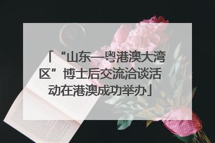 “山东—粤港澳大湾区”博士后交流洽谈活动在港澳成功举办