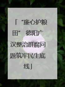 “廉心护粮田” 德阳广汉整治群腐问题筑牢民生底线