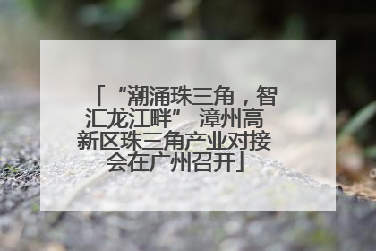 “潮涌珠三角，智汇龙江畔” 漳州高新区珠三角产业对接会在广州召开