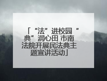 “法”进校园“典”润心田 市南法院开展民法典主题宣讲活动