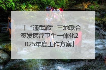 “通武廊”三地联合签发医疗卫生一体化2025年度工作方案