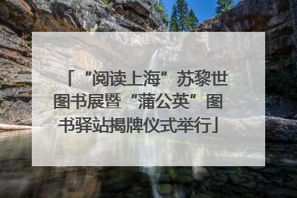 “阅读上海”苏黎世图书展暨“蒲公英”图书驿站揭牌仪式举行