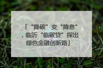 “降碳”变“降息”，临沂“临碳贷”探出绿色金融创新路