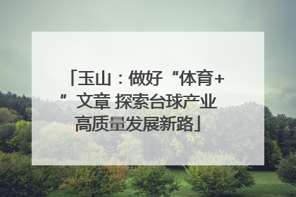 玉山：做好“体育+”文章 探索台球产业高质量发展新路