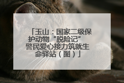 玉山：国家二级保护动物“脱险记” 警民爱心接力筑就生命驿站（图）