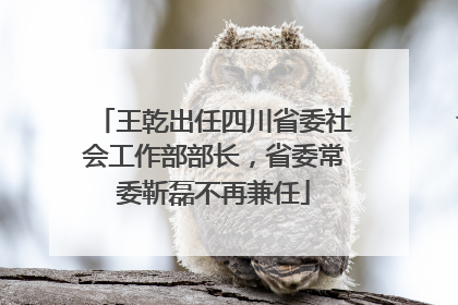 王乾出任四川省委社会工作部部长，省委常委靳磊不再兼任