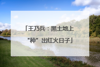 王乃兵：黑土地上“种”出红火日子