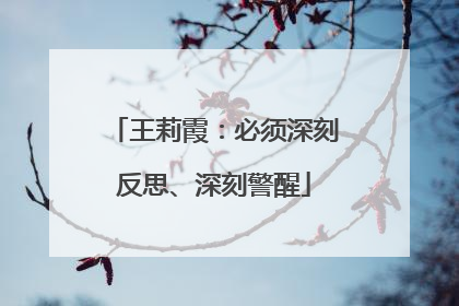 王莉霞：必须深刻反思、深刻警醒