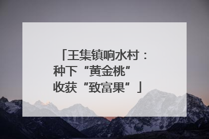 王集镇响水村：种下“黄金桃” 收获“致富果”