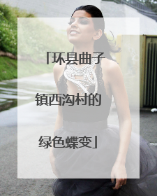 环县曲子镇西沟村的绿色蝶变