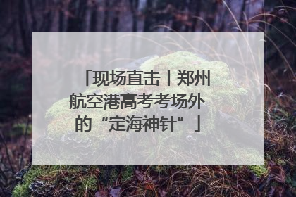 现场直击丨郑州航空港高考考场外的“定海神针”