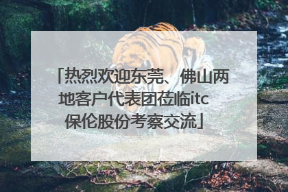 热烈欢迎东莞、佛山两地客户代表团莅临itc保伦股份考察交流