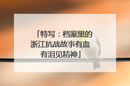 特写：档案里的浙江抗战故事有血有泪见精神